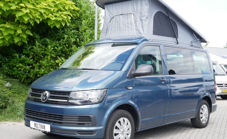 Volkswagen T6 Multivan, Camping-car avec toit ouvrant Easy fit !