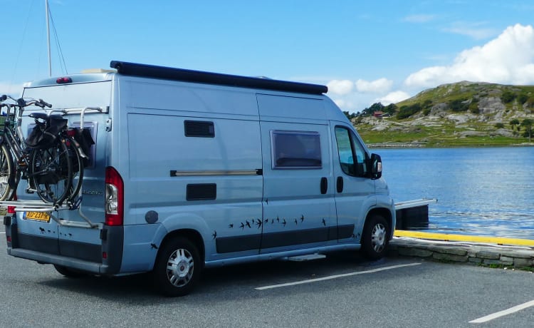 Blue Bird – Camper Bus EuraMobil per quattro persone