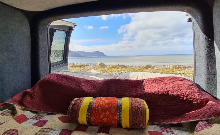 Bumble – VW T5 Campervan 2 Berth - Noord-Wales - Volledig verzekerd - Pechdekking