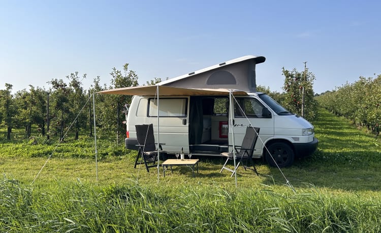 Betty – GoBetty: 2p Volkswagen campervan LWB