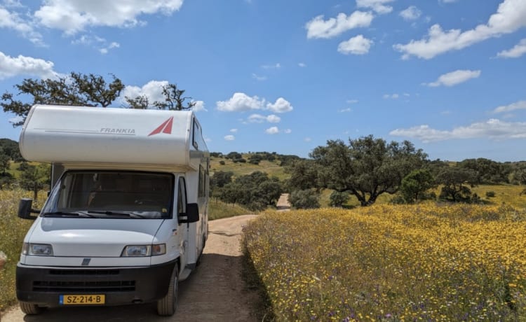 Carel – Alcôve Camper 4 personnes lits fixes