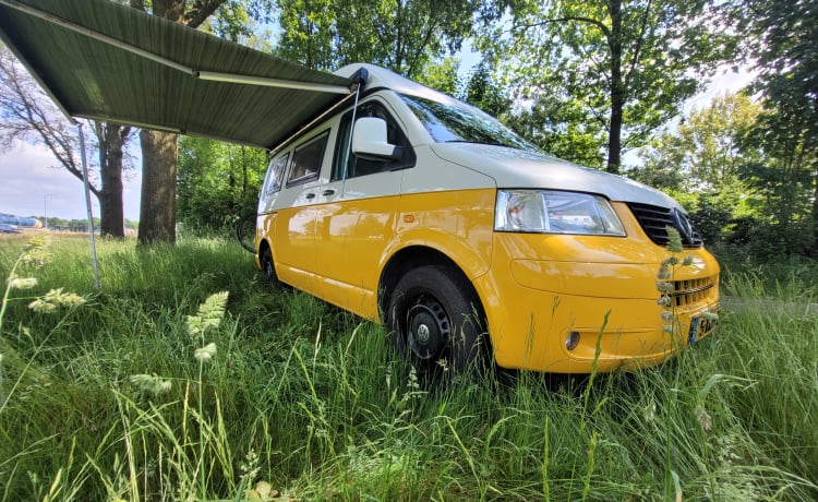 Sunny!  – Camping-car de luxe VW T5