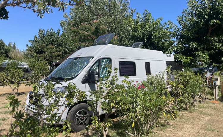 Camping-car 2 personnes (2024) McLouis Menfys Discovery Van 1