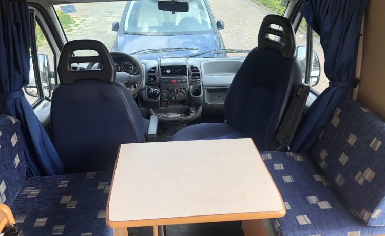 Segui il sole con questo camper bus Fiat Ducato compatto!