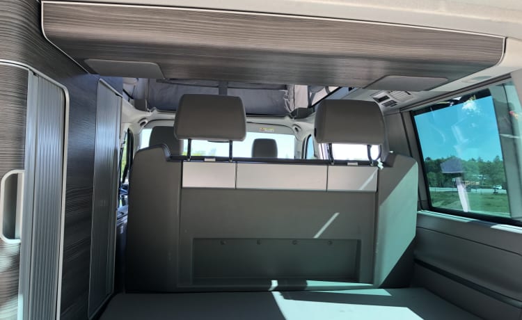 Volkswagen T6 California Ocean Camperbus uit 2018