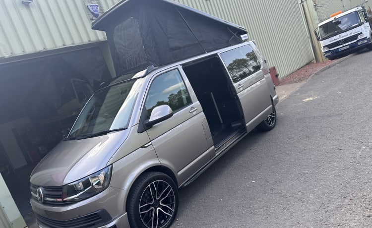 Roy  – 4 berth Volkswagen campervan from 2017