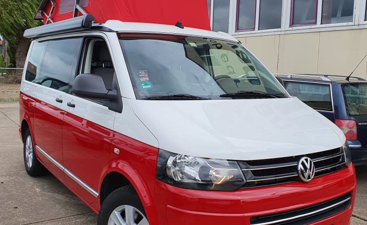 VW T5 California, 4 posti e 4 posti letto. Bel camper!