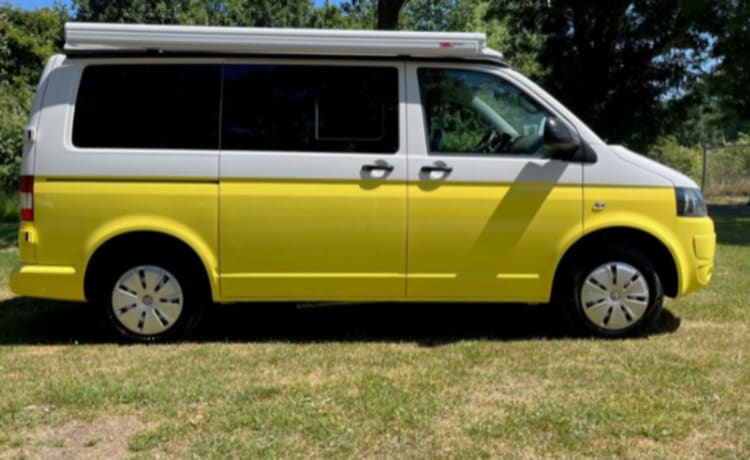 Summer yellow – 4 person campervan with cozy new Woodpecker installation