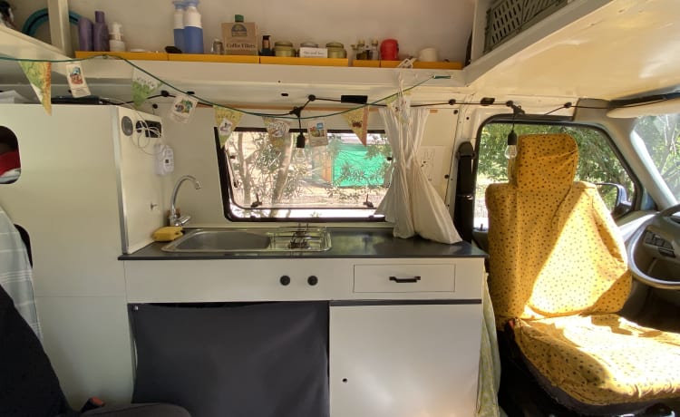 Koos – Hippe camper T4 Volkswagen