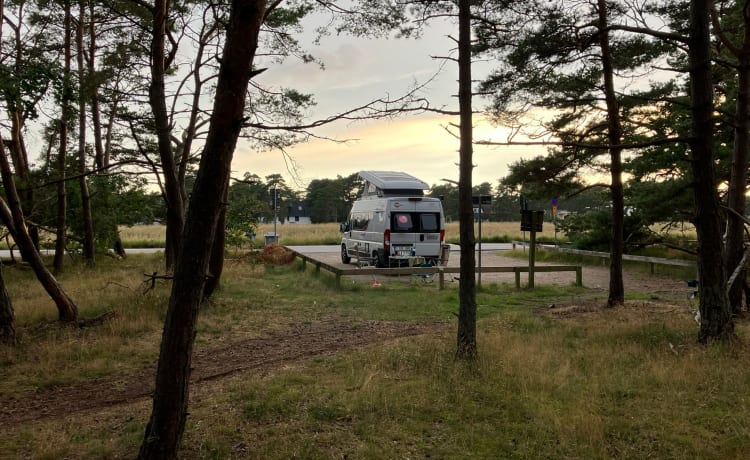 Campervan Bürstner Campeo 600