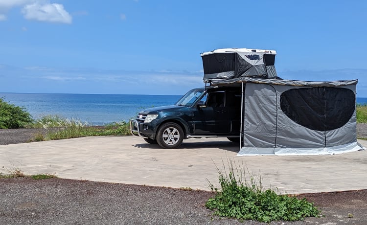 Le flamboyant  – Mitsubishi Pajero 4 -- Réunion-eiland