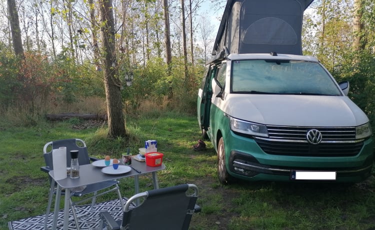 Kampie – Volkswagen California Ocean Automatik