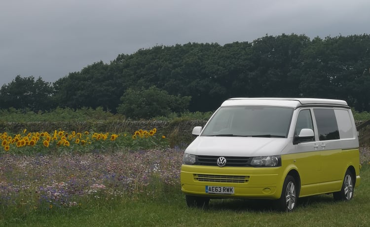 Daisy – 4 persoons Volkswagen Camper Van (nieuw omgebouwd 2022)