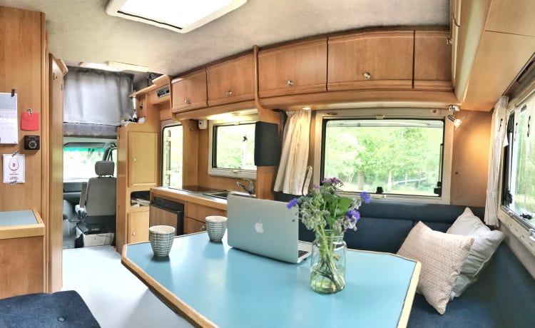 Fresh VW camper around! (4 person alcove)