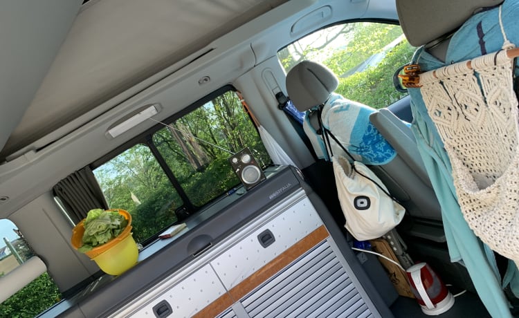 Marco – Mercedes-Benz Viano CDI 2.2 Aventurier adulte