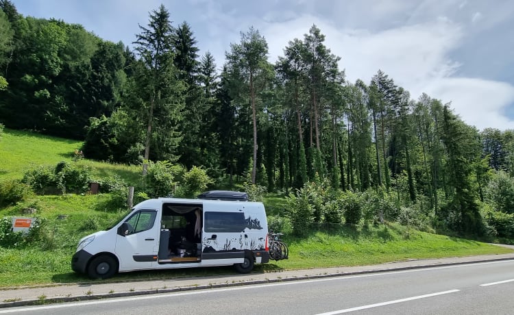 Freddy  – 2 berth campervan to explore Shetland