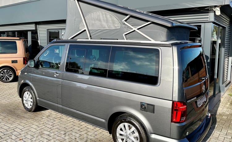 4p Volkswagen California Ocean automaat uit 2022