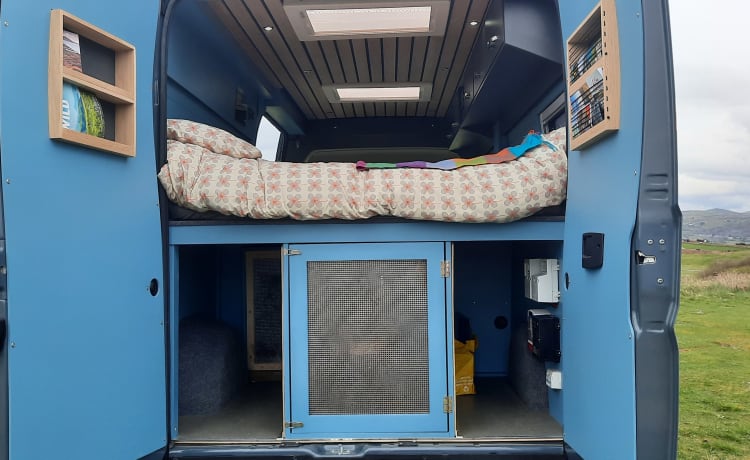 „Bod Campervan“ Eklektischer Luxus, perfekt für zwei! (Staffs/N.Wales)