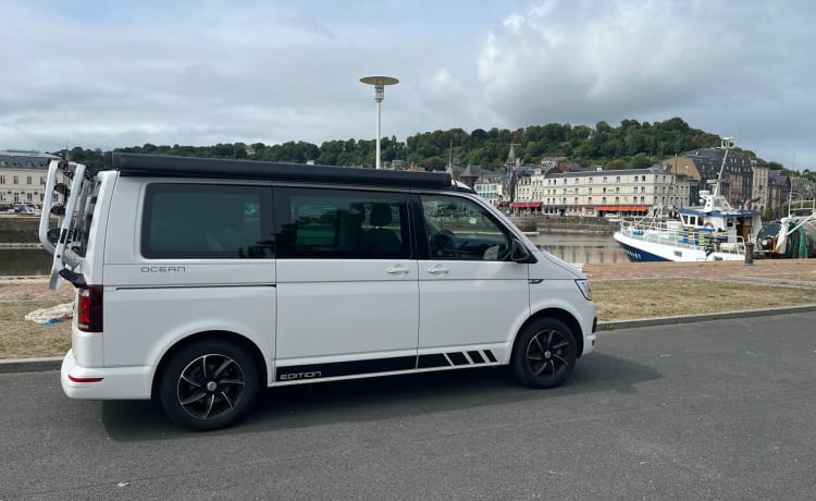 Witte VW California – Volkswagen CALIFORNIA T6 Edition (4p) aus dem Jahr 2018. Möglicherweise. mit Motorradanhänger