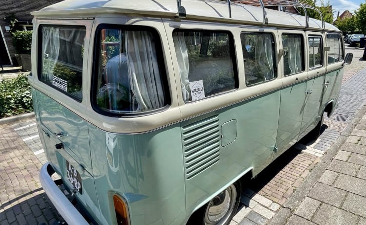 Pistache – Klassischer VW T2 Panoramabus