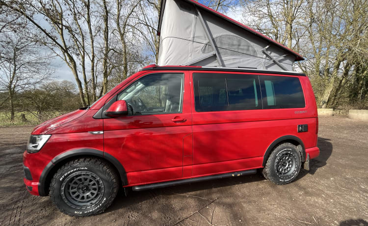 VW California für Sie bereit!