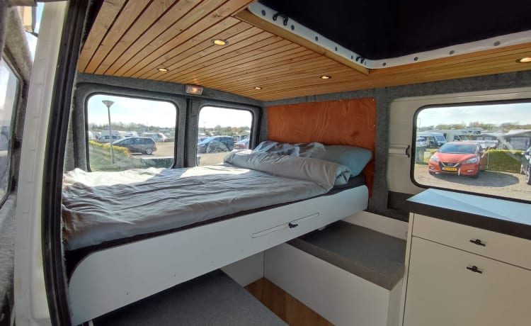 Joey – Unique and attractive camper van