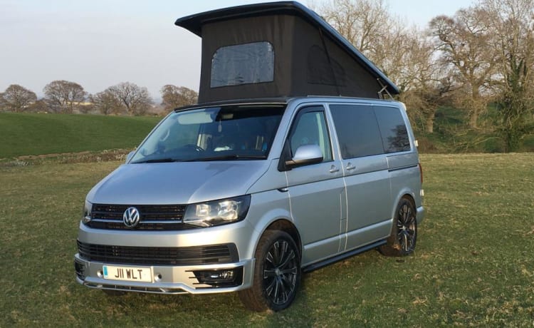 4 berth Volkswagen campervan from 2016