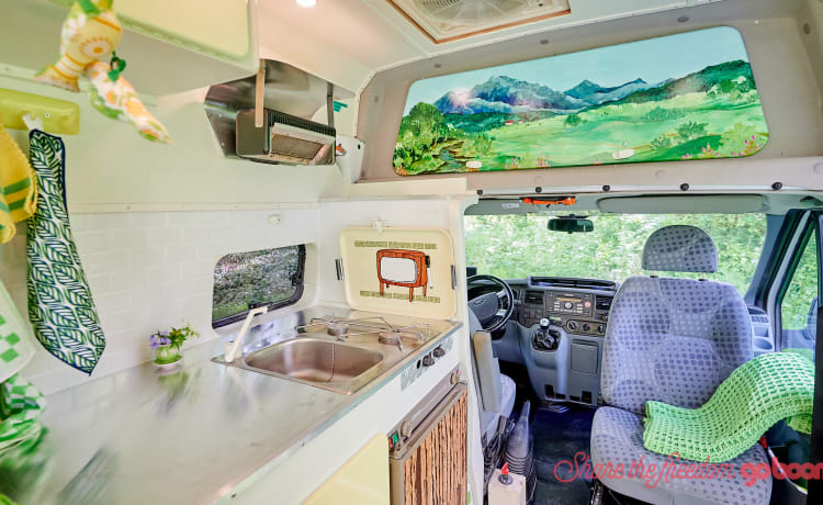 De Groenling – Camper bus ben guidabile per 2 pers. con bei mobili in affitto