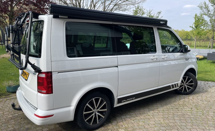 De Witte – Avontuurlijke Volkswagen California T6 - 2 tot 4 pers 