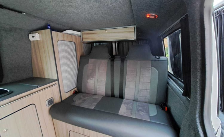 Transporter-Saurus-Rex – Transporter-Saurus-Rex... a 4 berth Volkswagen campervan from 2010