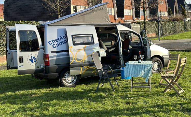 Cheetah – Cheetah 2 person Fiat Scudo bus camper