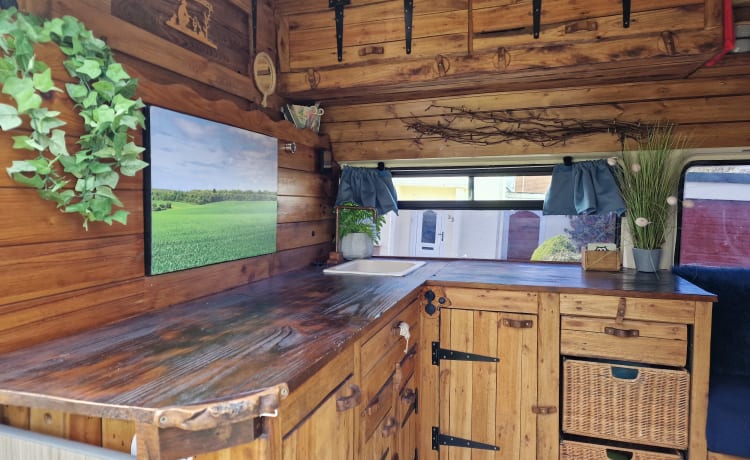 SKY – Unique Rustic Off-grid/EHU Campervan in Cornwall 