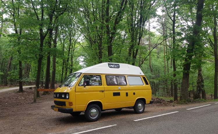 CHICO – cozy, neat, canary yellow oldtimer VW T3 for rent!