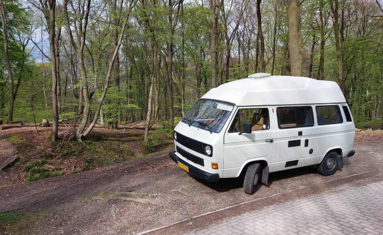 Zonnetje – Volkswagen T3 2p