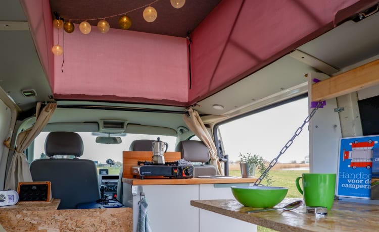 LEOPARD – Unieke Volkswagen Camper 