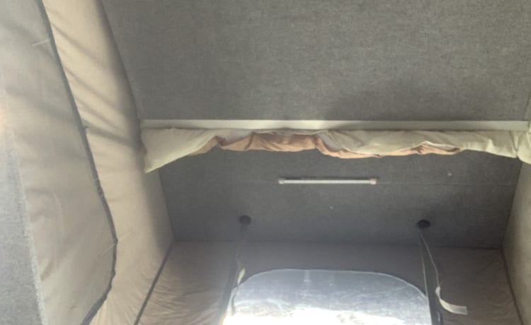 Bluebell – VW T5 pop top 4 posti letto.