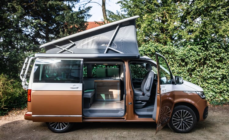 Dutch Nomad Van  – NIEUW! Compleet & Luxe uitgeruste VW California Ocean 6.1.