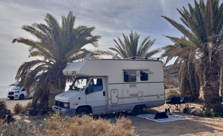 Bessie – Off-grid Bessie, de alkoof uit '94 in een modern jasje