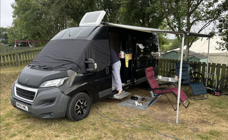 2-persoons Peugeot bus uit 2016