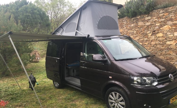 Volkswagen California automaat uit 2011 met hefdak, 