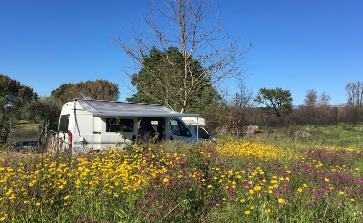 Fijne en complete camperbus