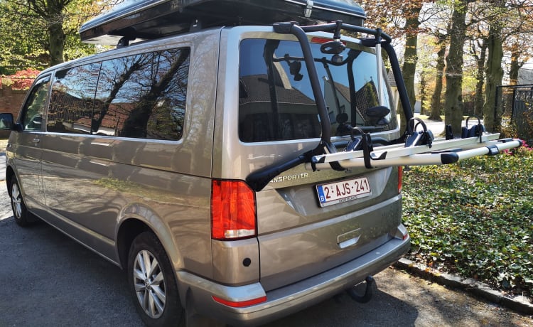 Accogliente Volkswagen T6.1 personalizzata (automatica!)