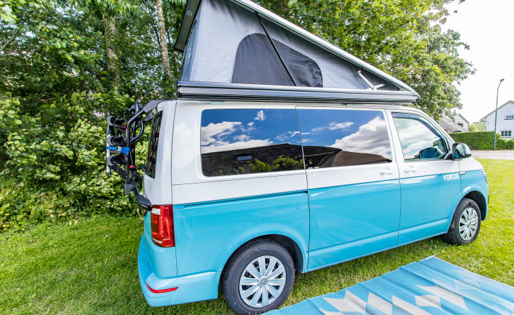 Ventje – Ventje Camper - Volkswagen Transporter T6 - 2018 - 3 pers - EURO 6