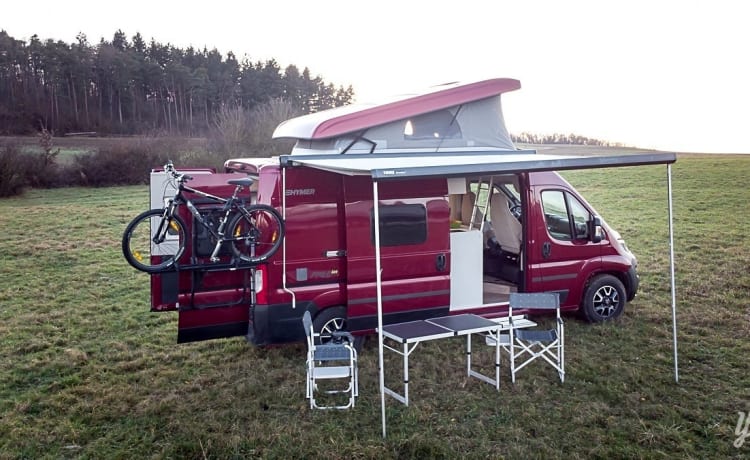 Reddy – Kastenwagen - Hymer Free 600