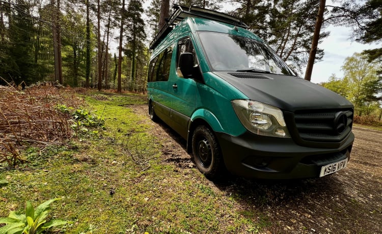 Spike – 3 berth Mercedes-Benz campervan from 2016