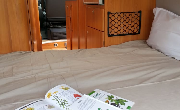 Laurent35170 – Knaus/Weinsberg Cosmos 601K 4-seater van