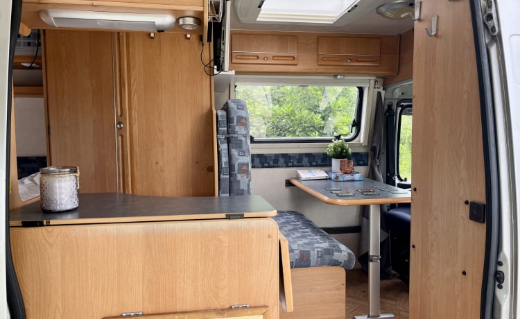 Ted – Compact Fiat Globescout camper van (3 pers.)