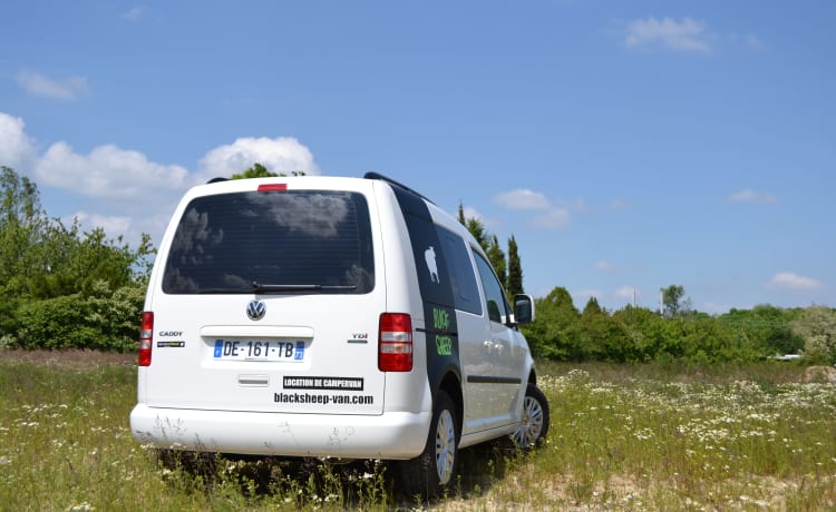 CAMPERVAN MINI – Caddy VOLKSWAGEN (Lissabon)