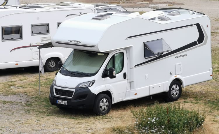 Weinsberg Familien-Mobil 6x Sitz & Schlaf, Klimaanlage, Gefrierfach