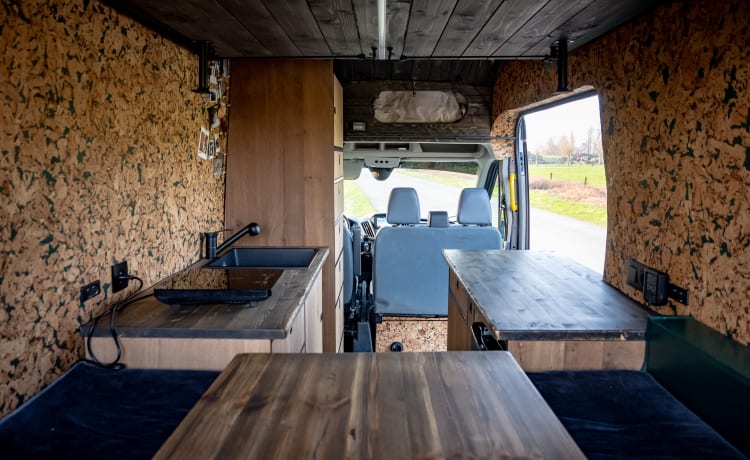 COSY off-grid bus